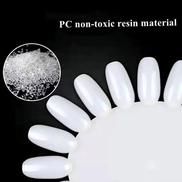 Display Wheel (10pc) - Image 2