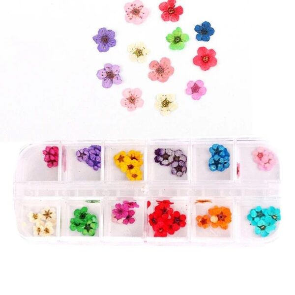 Dry Flowers - Image 2