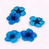 Dry Flowers - Image 4