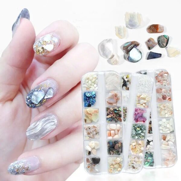 6pc shell - Image 3