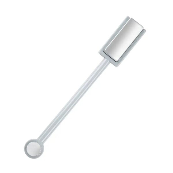 Magnet